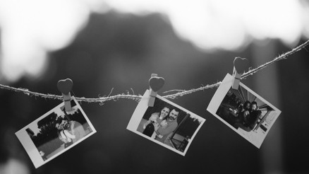 Beynimiz neden bazı anıları saklarken diğerlerini unutuyor Ağaçların arasında koşuşturan sincapları izlerken fark etti Beynimiz neden bazı anıları saklarken diğerlerini unutuyor Ağaçların arasında koşuşturan sincapları izlerken fark etti