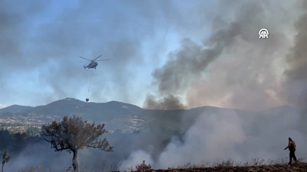 Bursada orman yangını