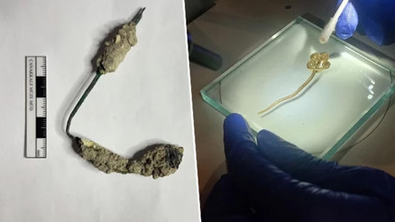 Troyada 4 bin 500 yıllık altın broş gün yüzüne çıkarıldı