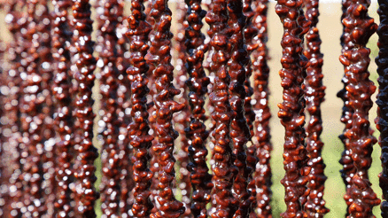 Kış sofralarının vazgeçilmezi: Orcik mesaisi başladı