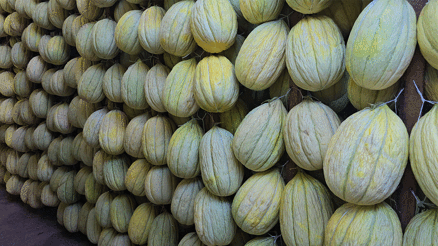 Avrupa tescilli lezzet askıda alıcısını bekliyor