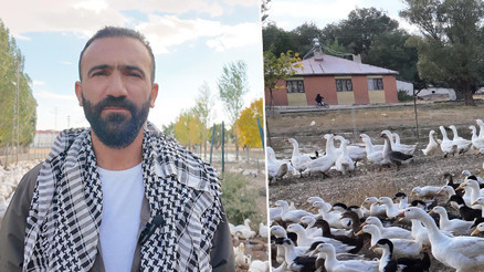 Islık sesiyle koşarak geliyorlar Görenler şaşırıyor: Başarının sırrını anlattı