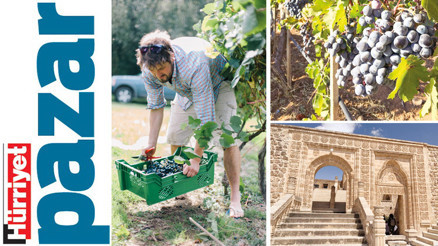 Bağbozumu daveti bu kez kadim bağlardan... Bağbozumu daveti bu kez kadim bağlardan...