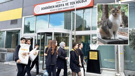 Demirören MTAL’den patili dostlara mama