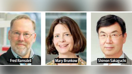 Nobel Tıp Ödülü Bağışıklık Toleransı’na