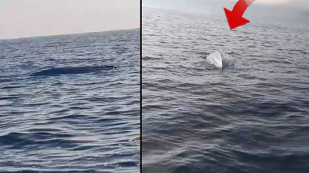 Karadeniz kıyılarında tedirgin eden cisim İnceleme başlatıldı