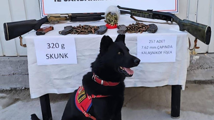 Muş’ta jandarmadan uyuşturucu ve silah operasyonu