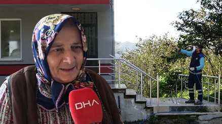 Bölgedeki birçok kentte evleri istila etti, kokusundan durulmuyor