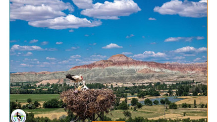 Etkileyici karelerle doğanın hikâyesi