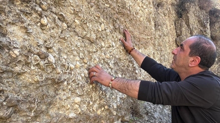 Erzurumda bulundu: 200 milyon yıllık Çok ilginç deniz canlıları var