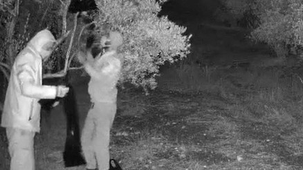 Kamera kaydetti, foyaları meydana çıktı: Biri yönlendiriyor, diğerleri planı uyguluyordu: Jandarma suçüstü yakaladı Kamera kaydetti, foyaları meydana çıktı: Biri yönlendiriyor, diğerleri planı uyguluyordu: Jandarma suçüstü yakaladı