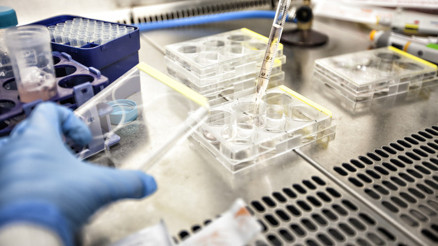 Tek testisle baba olunabilir mi