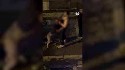 Beslediği pitbull tarafından ısırıldı O anlar kamerada