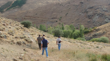 Annesini kaybeden yavru ayı için köylüler harekete geçti