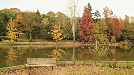 Doğanın kalbinde bir mola: Atatürk Arboretumu