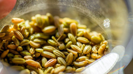 Hazımsızlığa ve şişkinliğe birebir Bağırsak sağlığınızı iyileştiren beş baharatı tüketmenin yolları Hazımsızlığa ve şişkinliğe birebir Bağırsak sağlığınızı iyileştiren beş baharatı tüketmenin yolları