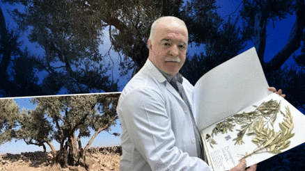 Nuhun Gemisi nerede Zeytin ağacından gelen delil... Ağrı Dağında değil, burada