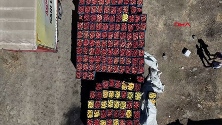 Yüksekovalı üretici, 25 yıllık bahçesinden 200 ton elma hasadı yaptı