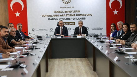 Engelli Bireylerin Sorunlarını Araştırma Komisyonu, bölgesel toplantılarına Mardin’den başladı