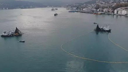 İstanbul Boğazında balık soykırımı iddiasına DMMden yalanlama