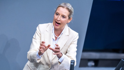 AfD eyalette rekor oy