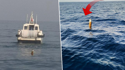 Salyangoz avcılığı yaparken gördüler Karadenizde yine ortaya çıktı | Geldiler baktılar, alıp götürdüler Salyangoz avcılığı yaparken gördüler Karadenizde yine ortaya çıktı | Geldiler baktılar, alıp götürdüler