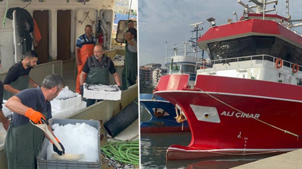 Karadenizden kasalarca çıktı Fiyatı 150 lira birden düştü