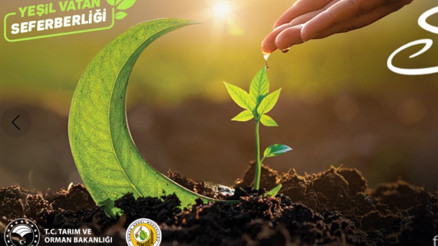 Geleceğe Nefes fidan sahiplenme nasıl yapılır 11 Kasımda 81 ilde fidan dikimi yapılacak