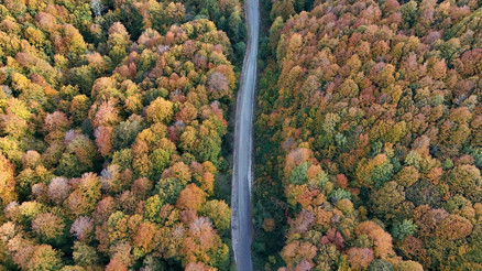 Longoz ve Istranca ormanlarında görsel şölen