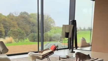 Ekranın ünlü yüzü yeni hayatına burada başladı: Pencerelerde perde yok... Bu manzara ömre bedel