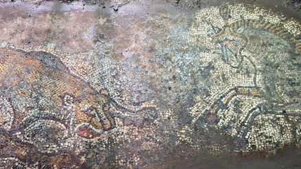Kaçakçılara satılmak istenen 1500 yıllık mozaik bulundu