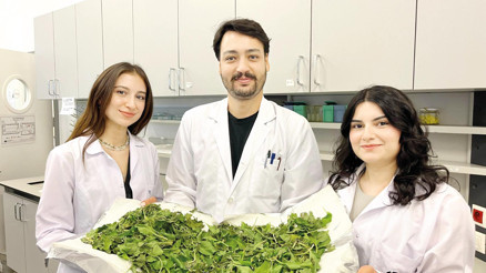 Anneanne karışımı umut oldu