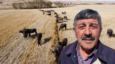 Devlet 5 bin liraya kadar destek veriyor Bölge üreticilerinin gözdesi oldu