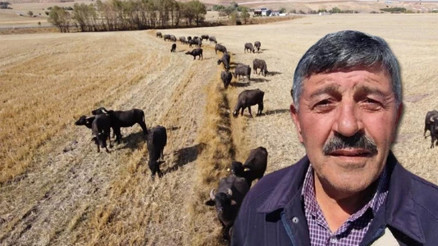 Devlet 5 bin liraya kadar destek veriyor Bölge üreticilerinin gözdesi oldu