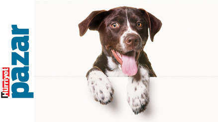 ‘Yaşamaya değer hayatlar sağlayacak kaynaklara sahip miyiz’