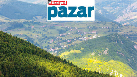 Yeşille mavinin kusursuz uyumu Yeşille mavinin kusursuz uyumu