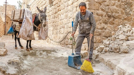 7 yıl çalışıp emekli oluyorlar Kadrolu eşekler yıllardır sokak sokak geziyor | Artık kademeli olarak ayrılacaklar