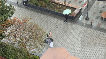 İstanbul’da şiddetli yağış ve lodos etkili oldu