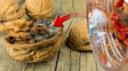 Zararsız gibi görünüyor ama hayati organları harap ediyor Kronik maruziyet karaciğer kanseri nedeni | Koklamak bile riskli Zararsız gibi görünüyor ama hayati organları harap ediyor Kronik maruziyet karaciğer kanseri nedeni | Koklamak bile riskli