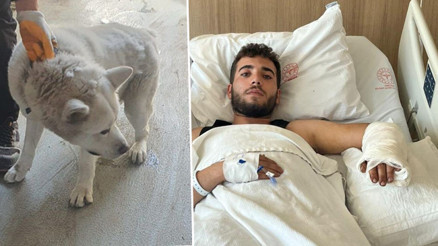 İşyerindeki köpeğin saldırısına uğradı O anları anlattı: Yemeğini verdiği sırada önce kafamdan sonra kolumdan ısırdı İşyerindeki köpeğin saldırısına uğradı O anları anlattı: Yemeğini verdiği sırada önce kafamdan sonra kolumdan ısırdı