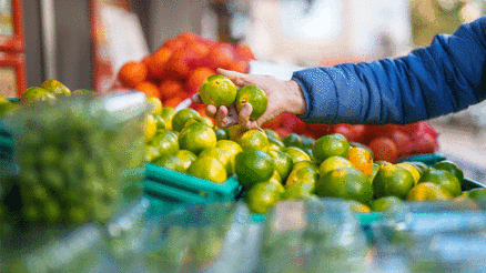 Kasım ayı sebze ve meyveleri nelerdir Kasım ayında hangi sebze ve meyveler yenir Kasım ayı sebze ve meyveleri nelerdir Kasım ayında hangi sebze ve meyveler yenir