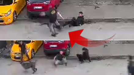 Kahraman baba, köpek saldırısından çocuğunu böyle kurtardı