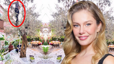 Ünlü oyuncu ağaç tepelerine çıktı... Zeytin hasadı yaptı