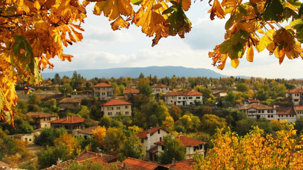 Kasım rüzgârında bir sonbahar yolculuğu: Huzurun ve renklerin peşinde… Kasım rüzgârında bir sonbahar yolculuğu: Huzurun ve renklerin peşinde…