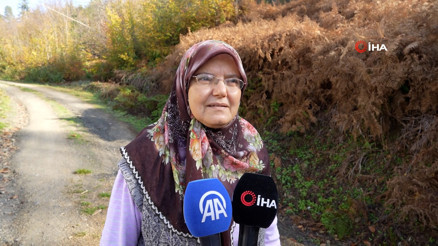 Kayıp anne ve oğlunu görenler konuştu: Mantar toplamaya gelmiş gibi bir hali yoktu Kayıp anne ve oğlunu görenler konuştu: Mantar toplamaya gelmiş gibi bir hali yoktu