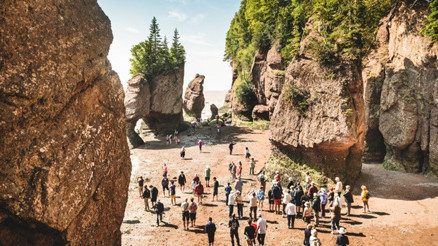 Su seviyesiyle dans eden kıyılar: Fundy Körfezi’nin büyüleyici dönüşümü Su seviyesiyle dans eden kıyılar: Fundy Körfezi’nin büyüleyici dönüşümü