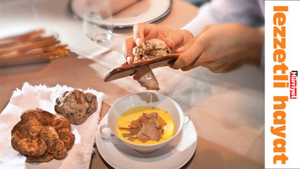 Toprağın altındaki servet