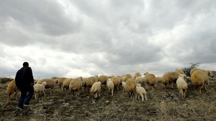 Cinayetten hükümlü kişi çobanlık yaparken yakalandı