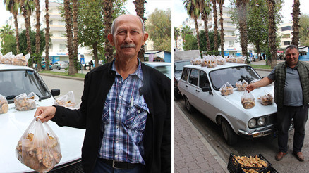 Ormanlarda kendiliğinden yetişiyor Bölge halkının geçim kaynağı oldu... Kilosu 500 liraya kadar çıkıyor