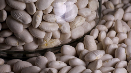 Sosyal medyanın yeni çılgınlığı: BeanTok Sağlıklı mı, tehlikeli mi Uzman isimden önemli uyarılar…